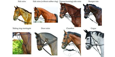 What Are The Different Types Of Horse Reins For Sale Horse Saddle Shop