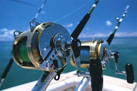 The Best Saltwater Spinning Reels For The Money Wilderness Today
