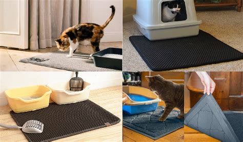 Best Cat Litter Mat Reviews The Litter Stops Here