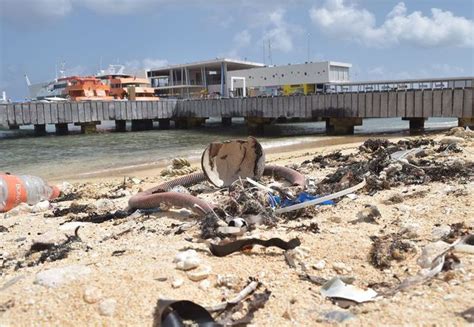 Plástico Se Acumula Por Corrientes Marinas En Pequeña Playa De Cozumel