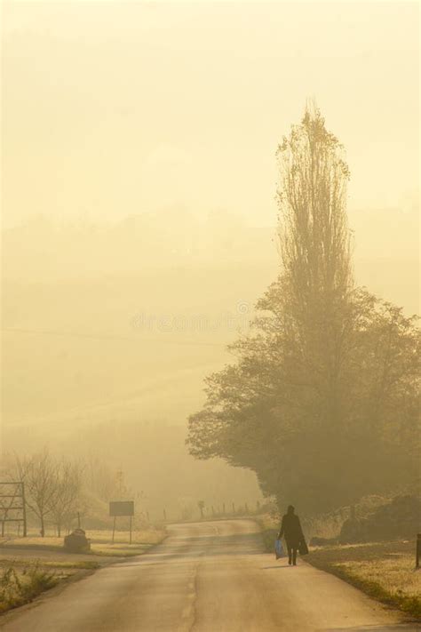 Lonely Silhouette Walking Down The Road Stock Image Image Of Road