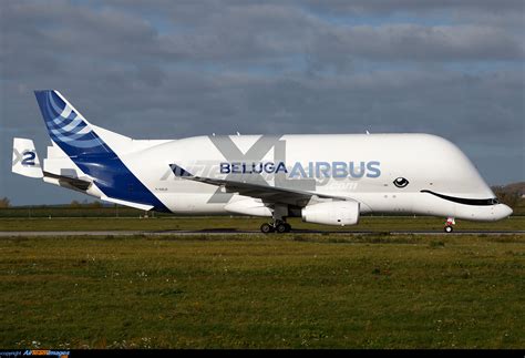 Airbus Beluga Xl Large Preview