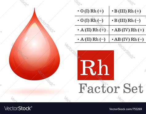 Rh Factor And Blood Drop Royalty Free Vector Image Hot Sex Picture