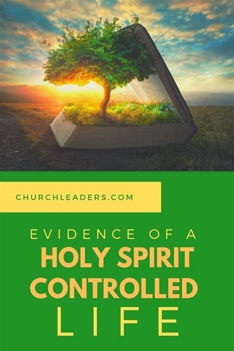 Spirit Filled Transformation 5 Pieces Of Evidence The Holy Spirit Has