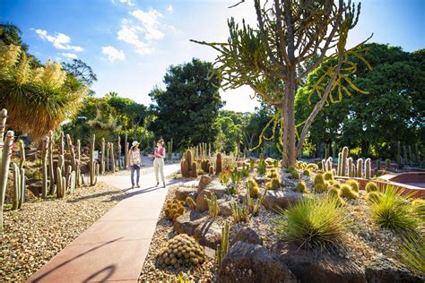 Royal Botanic Gardens Victoria Unveils Garden For A Future Climate
