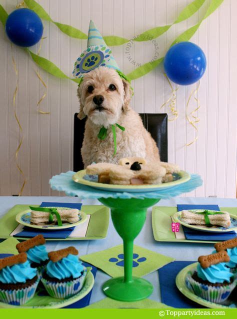 Dog Birthday Picture Ideas Petswall