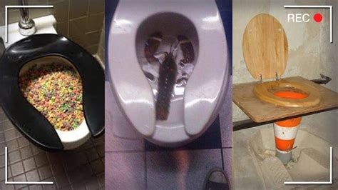 The Most Bizarre Facts About Toilets Around The World Vrogue Co