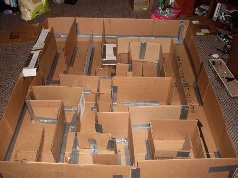 Cardboard Rat Maze Or Any Small Critter Lotsa Pics Miscellaneous