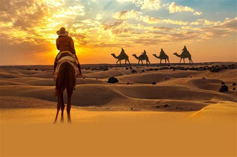 Journey Into The Desert Create Webquest