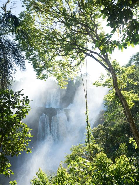 Iguazu Falls Smithsonian Photo Contest Smithsonian Magazine