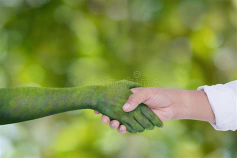 Environment Earth Day Hand Shake Between Human Hands And Nature