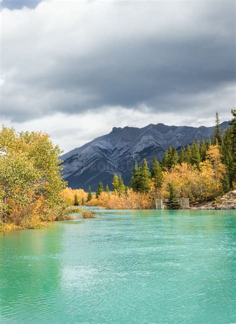 Mountain River With Fall Colours Stock Image Image Of Season Canada