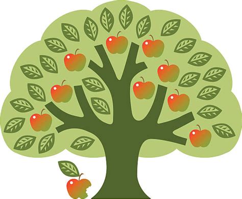 Tree Of Knowledge Good And Evil Illustrations Royalty Free Vector