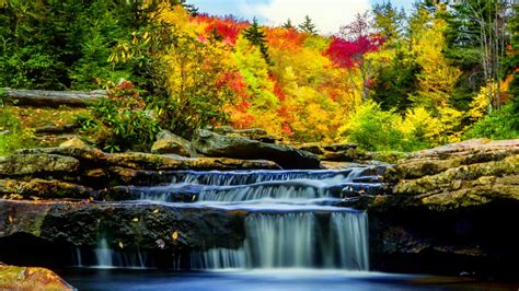 Waterfall Stream On Rock Between Colorful Autumn Trees Hd Nature