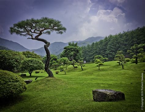 Wandering The Gorgeous Garden Of Morning Calm Gapyeong Korea Roamad