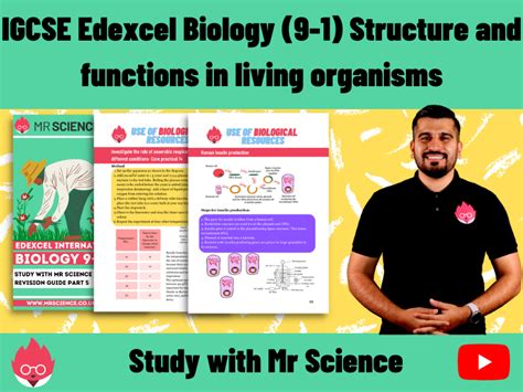 Igcse Biology Edexcel Structure And Functions In Living Organisms Hot Sex Picture