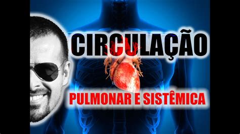 Sistema Circulatório Circulação Pulmonar E Circulação Sistêmica