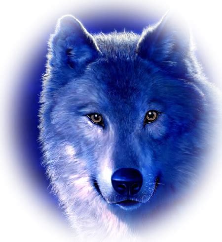 Please use search to find more variants of pictures and to choose between available options. ForgetMeNot: wolves