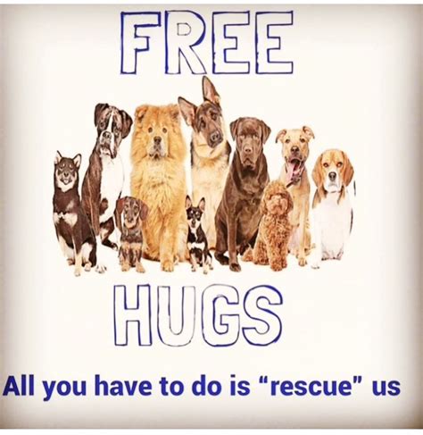 Animal Adoption Dog Adoption Free Hugs Rescue Dog Cat This Is Us