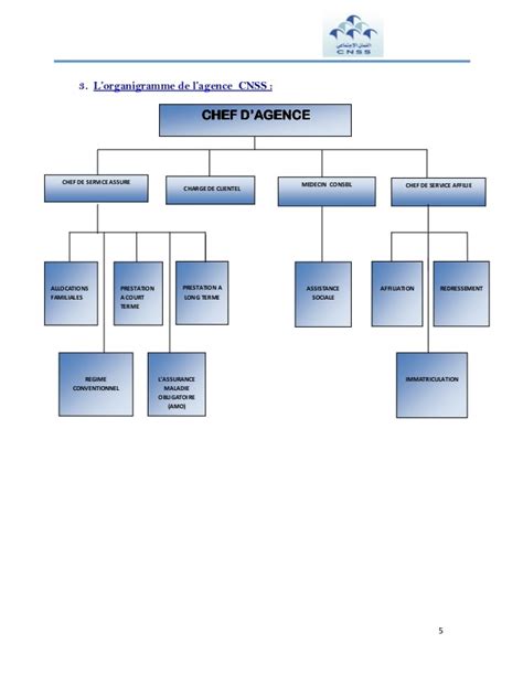 Rapport De Stage Cnss