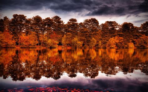 Trees Breathtaking Landscapes