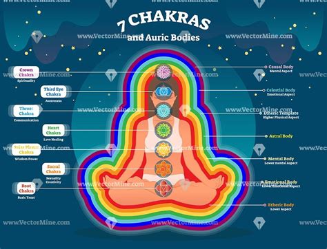 Aura Body Layers Seven Chakras Diagram Chakra Yoga Chakra Meditation Sacral Chakra Chakra