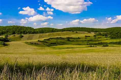 Free Images Landscape Tree Nature Grass Horizon Mountain Cloud