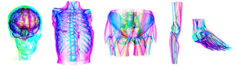 Anatomical Entertainer Physical Visualization In A Medical Context Tu Wien Research Unit Of