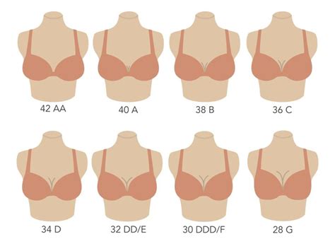 Breast Cup Size Chart Find Bra Size Bra Fitting Guide Correct Bra Sizing Yoga Information