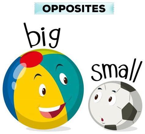 Download Opposite Words For Big And Small For Free Opposite Words