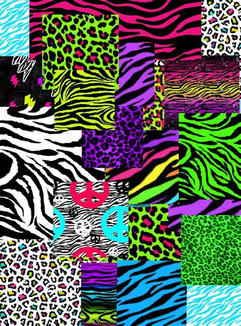 Rainbow Zebra Wallpapers Top Free Rainbow Zebra Backgrounds