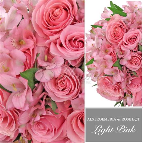 Light Pink Rose And Alstroemeria Monochromatic Bouquets Ebloomsdire 2019