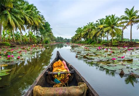 Plan A Trip To Kerala A Complete Travel Guide To Kerala