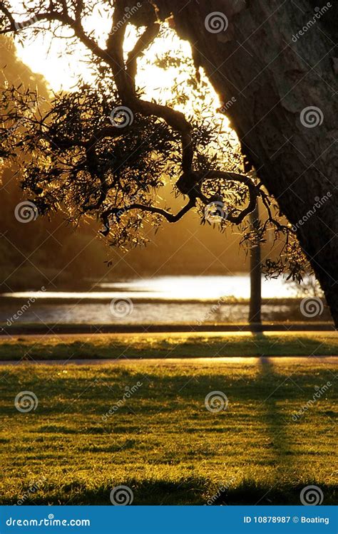 Afternoon Light Stock Image Image Of Light Spring South 10878987
