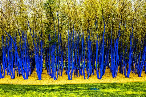 Project The Blue Trees Codaworx