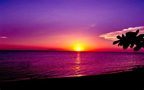 Free Download 67 Pretty Sunset Wallpapers On Wallpaperplay 1920x1200 For Your Desktop Mobile