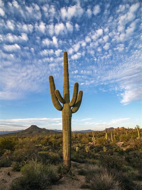 Arizona Photography Arizona Photography Namedstorms