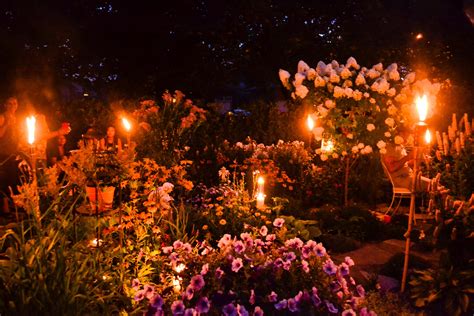 Garden Party At Night Célébrations