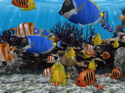🔥 Download Wincustomize Explore Screensavers Aquarium Screen Saver By