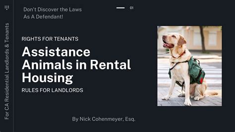 Assistance Animals In Rental Housing Youtube