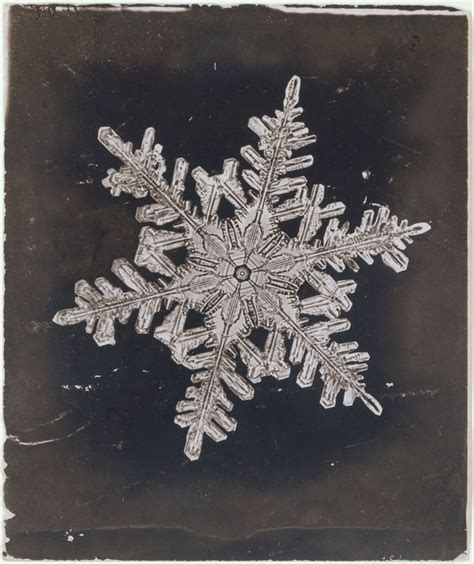 In 1885 Wilson Bentley Took The First Ever Photographs Of Snowflakes