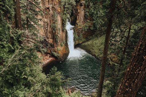 7 Critical Types Of Pacific Northwest Forest Passes And Where To Use