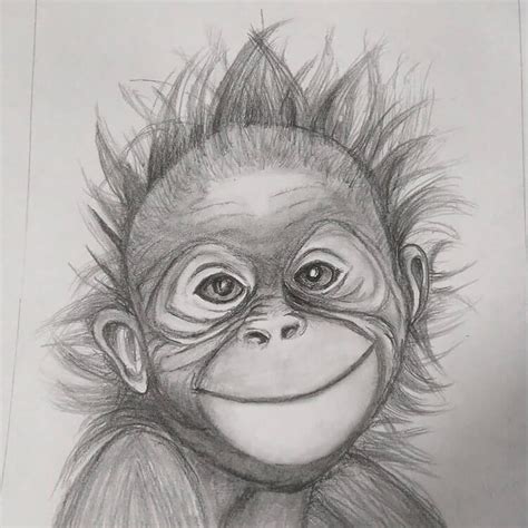 Monkey Pencil Drawing Pencil Drawings Drawings Pencil Images