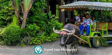 Villa Escudero Tour Travel Tour Philippines