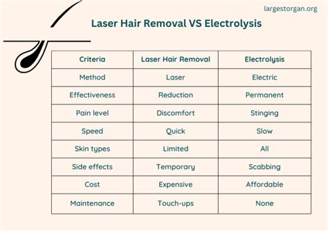 Laser Hair Removal Vs Electrolysis Which Is Permanent