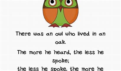 Birthday Wise Owl Sayings Quotes Card Quotesgram
