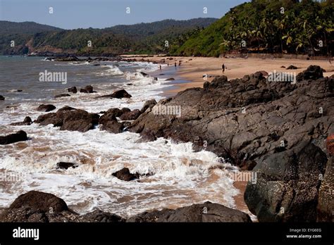 Beach Scene Cola Beach Goa India Stock Photo Alamy