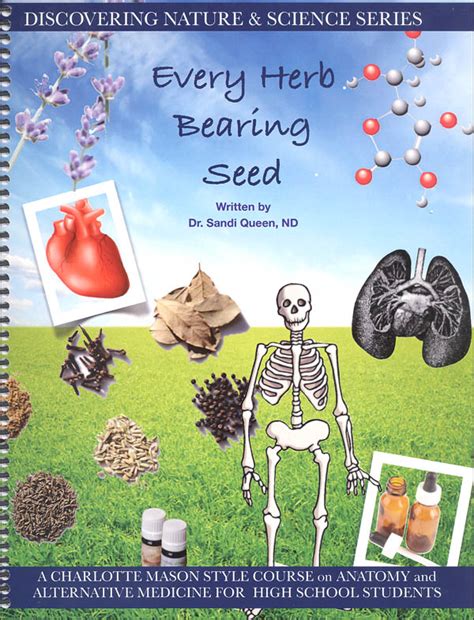 Discovering Nature Series Every Herb Bearing Seed By Sandi Queen