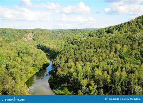 Top View Of A Winding Calm River Flowing Through A Dense Coniferous