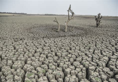 Maharashtra Government Declares ‘severe Drought Conditions In 151 Of